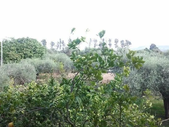 Panzió Villa Edera Alghero